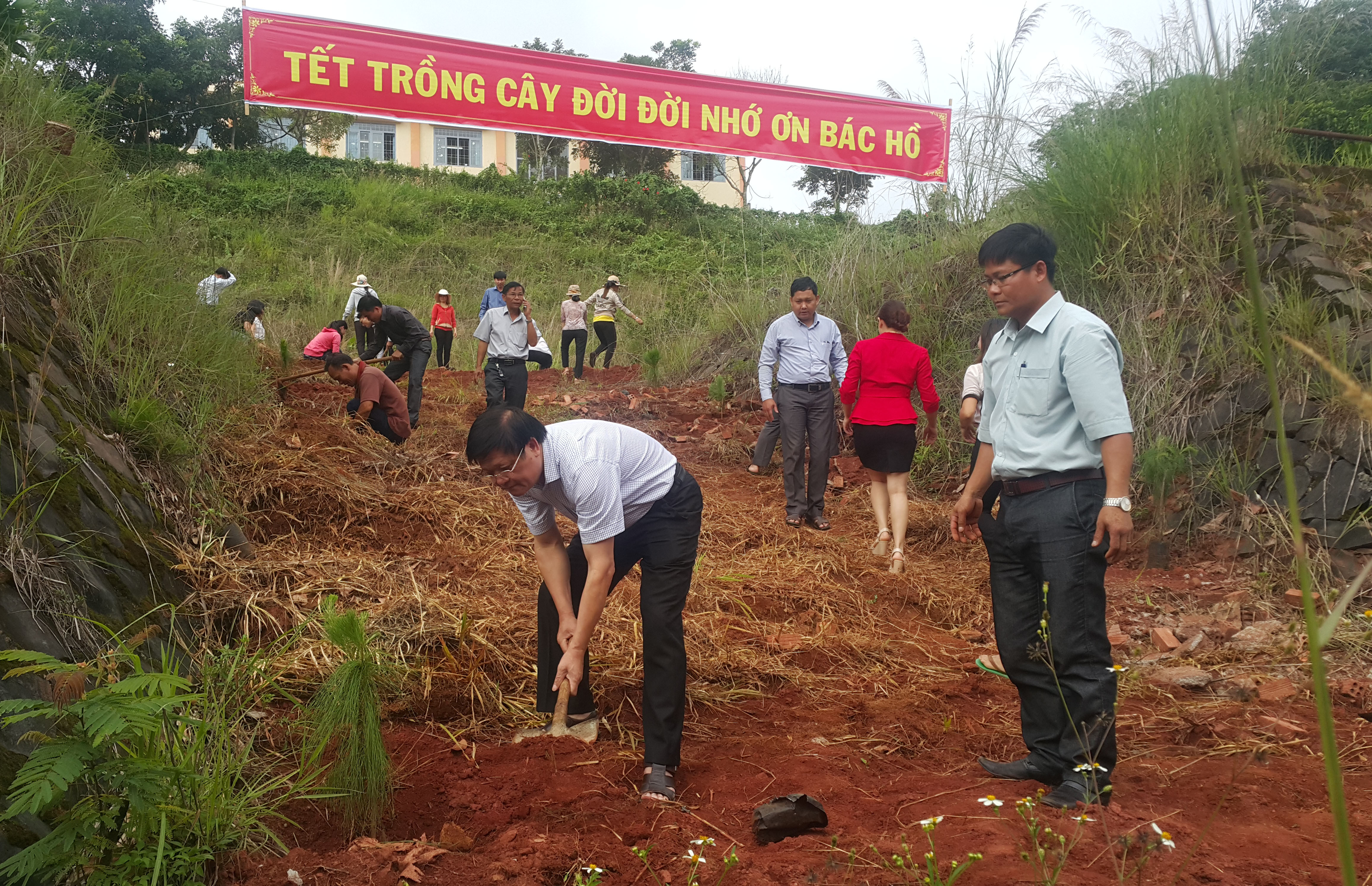 Phát động Tết trồng cây và trồng cây phân tán nhân kỷ niệm 127 năm ngày sinh Chủ tịch Hồ Chí Minh
