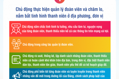 Triển khai xây dựng Đoàn cơ sở “3 chủ động” của Đoàn cơ sở